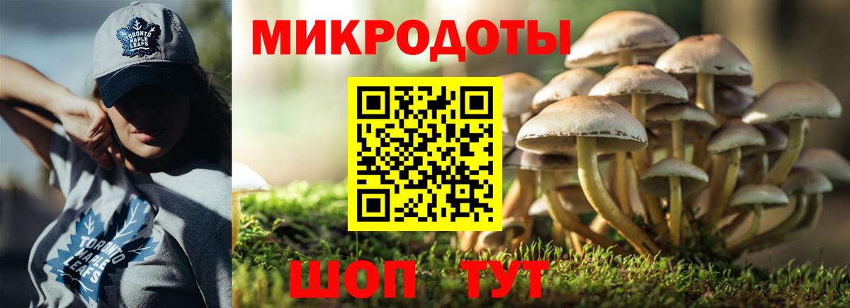 Псилоцибиновые грибы Cubensis  Галлюциногенные грибы GOLDEN TEACHER  Тулун  Вход с VPN 